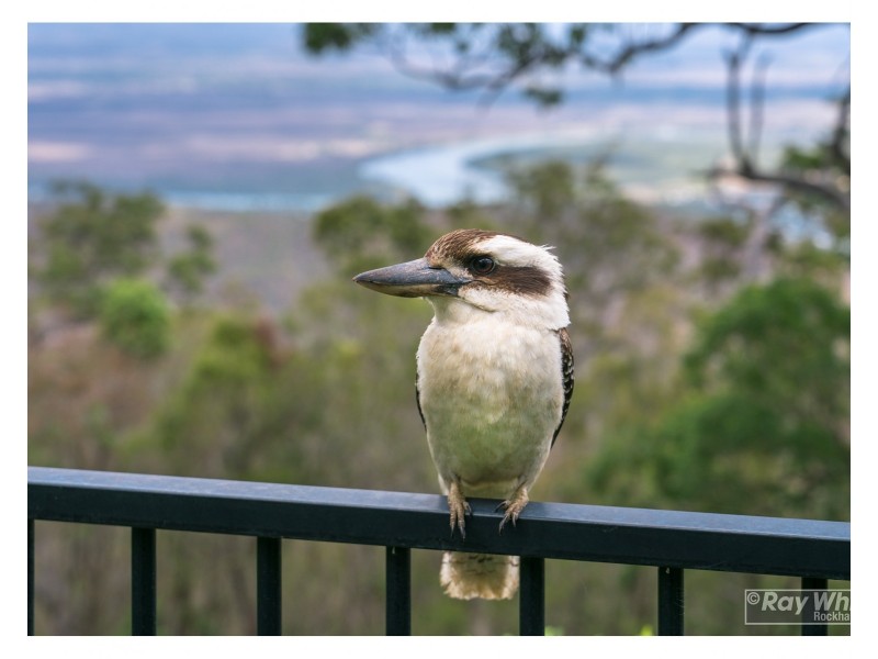 12 Elida Street, Mount Archer QLD 4701