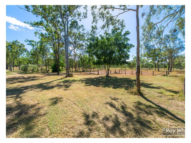 33 Rhys Avenue, The Caves QLD 4702