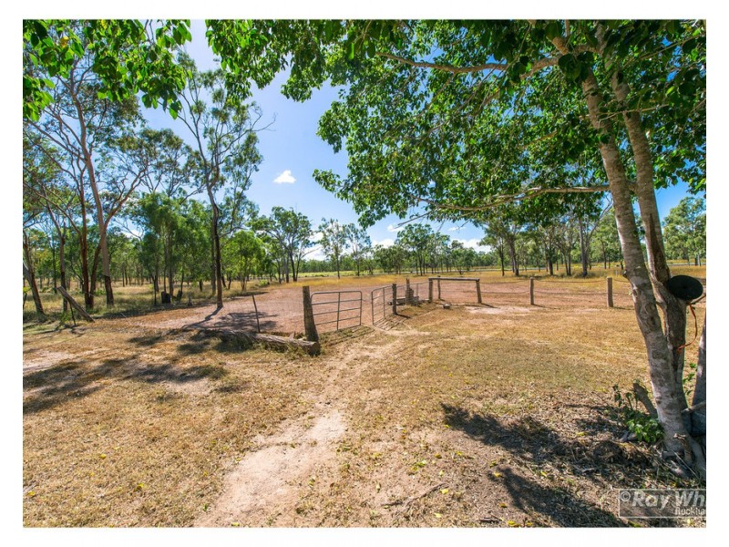 33 Rhys Avenue, The Caves QLD 4702
