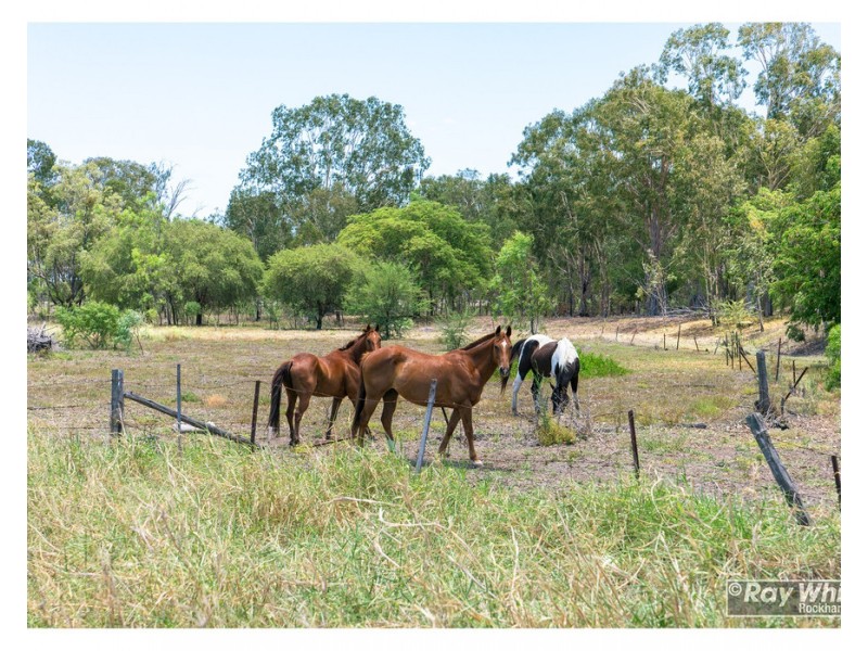 31 Port Curtis Road, Depot Hill QLD 4700