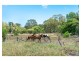 31 Port Curtis Road, Depot Hill QLD 4700