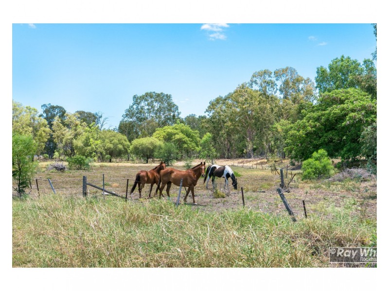 31 Port Curtis Road, Depot Hill QLD 4700