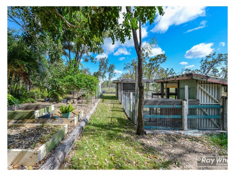 111 McMillan Avenue, Parkhurst QLD 4702