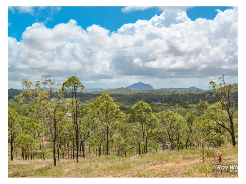 93 Caporn Road, Limestone Creek QLD 4701