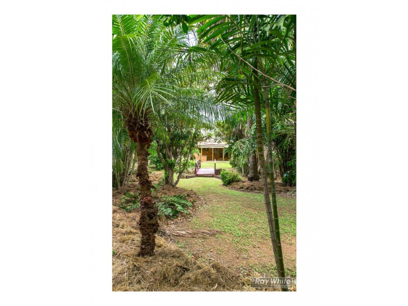 42 Schlencker Drive, Glenlee QLD 4711