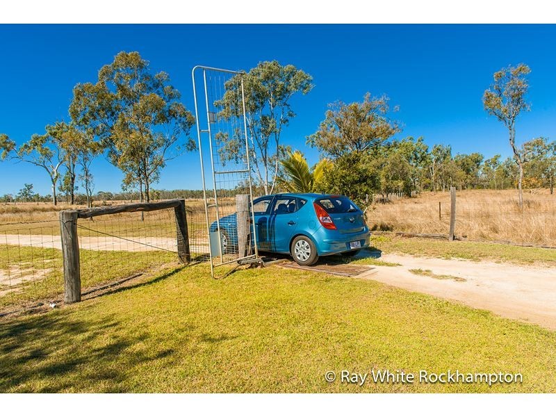 229 South Yaamba Road, Alton Downs QLD 4702