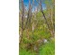 189 Glendale Road, Glendale QLD 4711