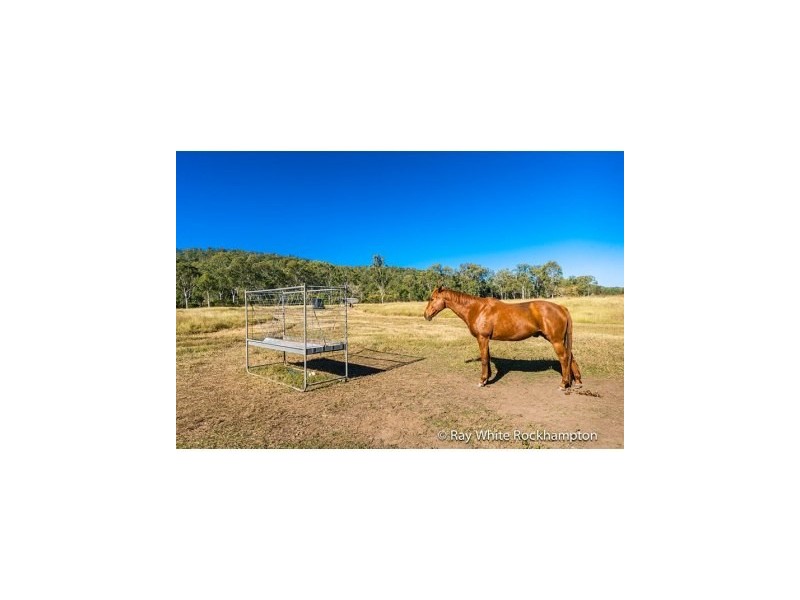 586 Cawarral Road, Cawarral QLD 4702