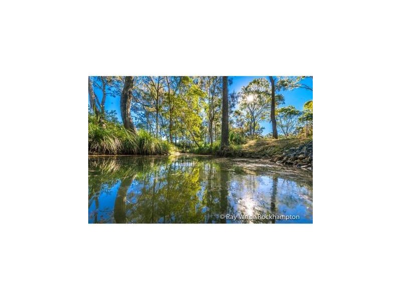 586 Cawarral Road, Cawarral QLD 4702