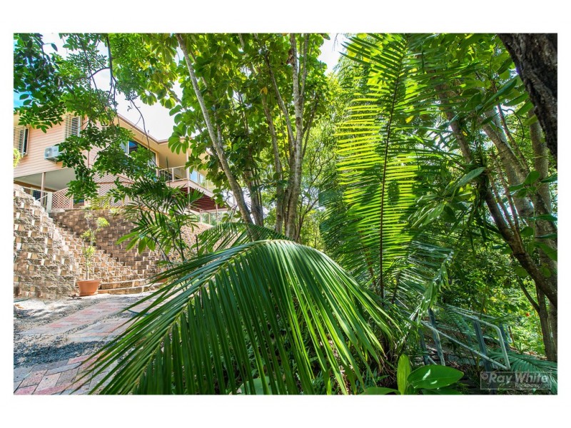 11 Laylee Court, Frenchville QLD 4701
