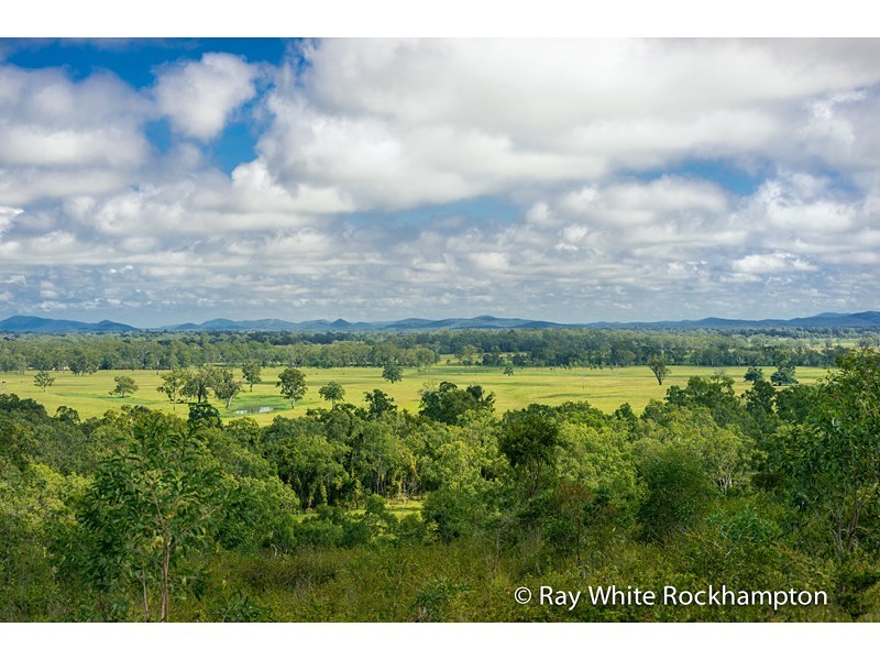 175 Plentiful Creek Road, The Caves QLD 4702