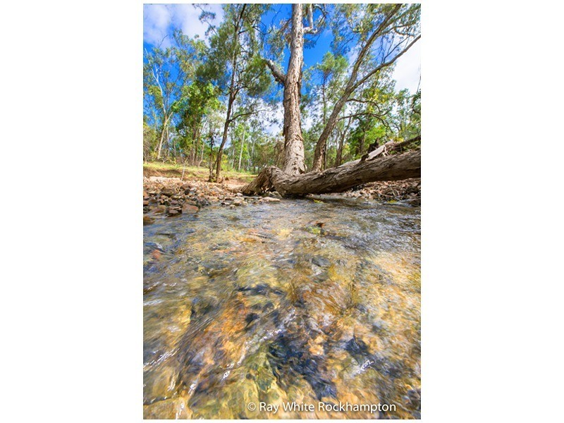 175 Plentiful Creek Road, The Caves QLD 4702