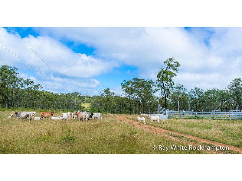175 Plentiful Creek Road, The Caves QLD 4702