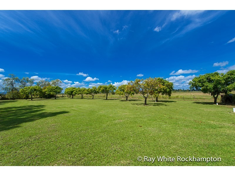 363 Reid Road, Alton Downs QLD 4702