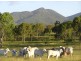 60 Rattenbury Road, Limestone Creek QLD 4701