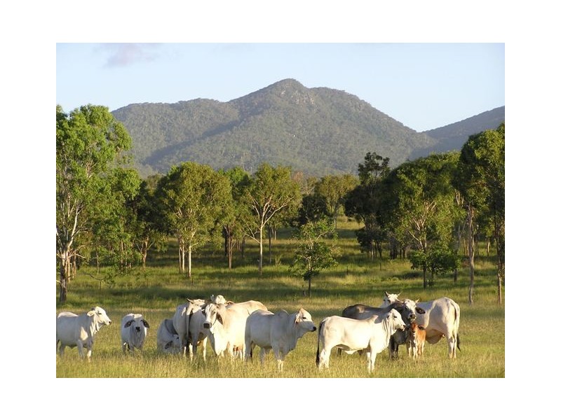 60 Rattenbury Road, Limestone Creek QLD 4701