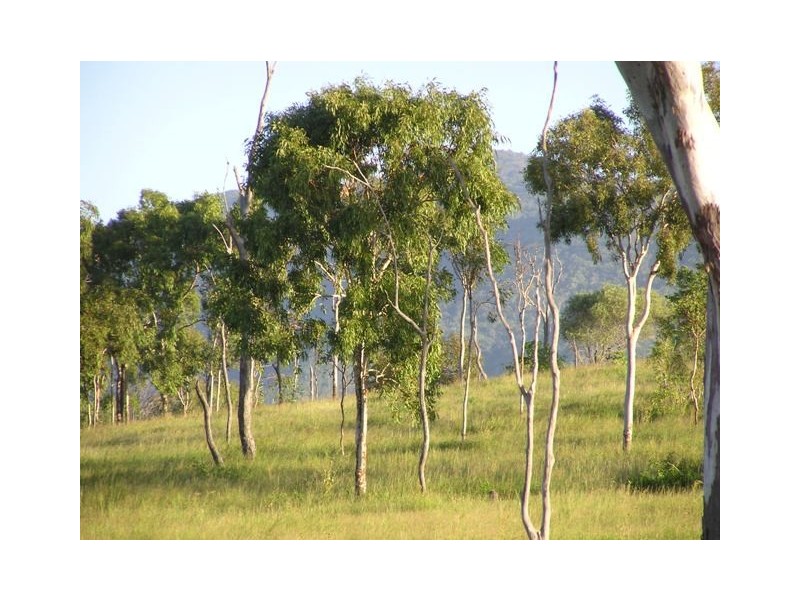 60 Rattenbury Road, Limestone Creek QLD 4701