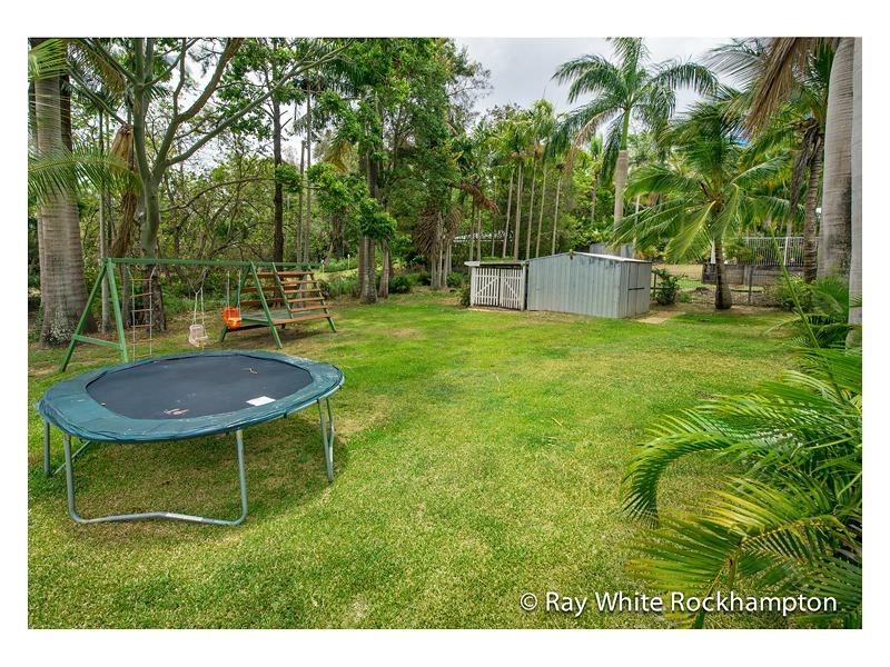 11 Jard Street, Frenchville QLD 4701