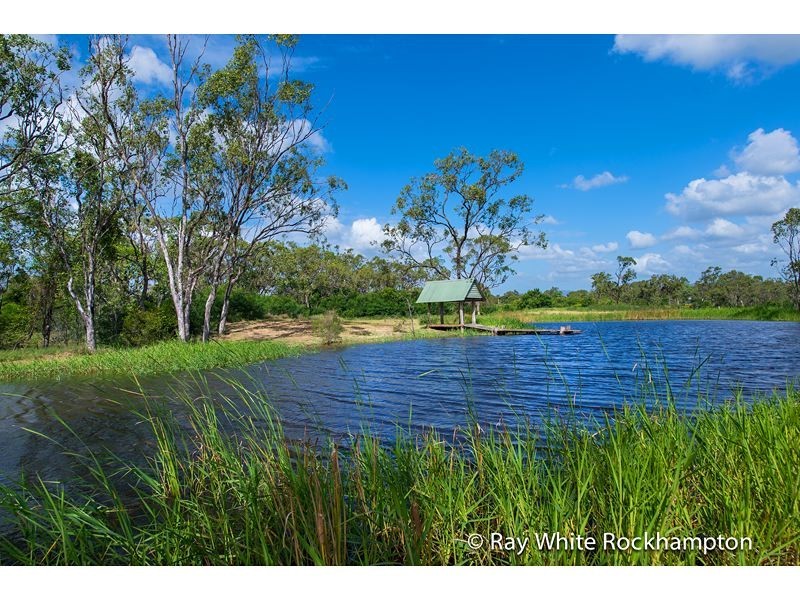89 Julie Anne Drive, Glendale QLD 4711