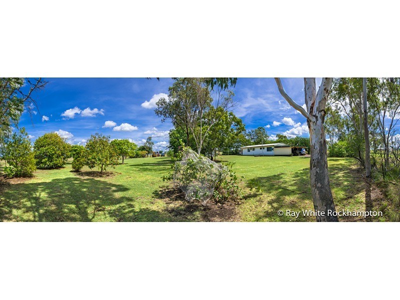 363 Reid Road, Alton Downs QLD 4702