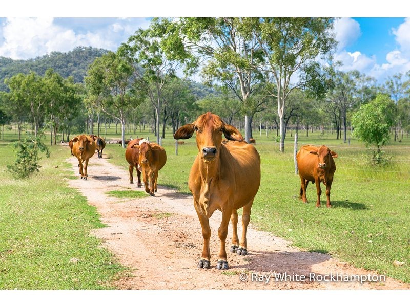272 Raspberry Creek Road, Kunwarara QLD 4702
