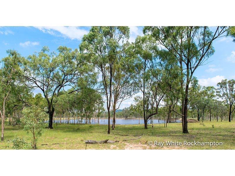 272 Raspberry Creek Road, Kunwarara QLD 4702