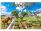 163 Kime Road, Midgee QLD 4702