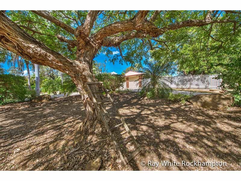 41 Hendy Drive, Glenlee QLD 4711