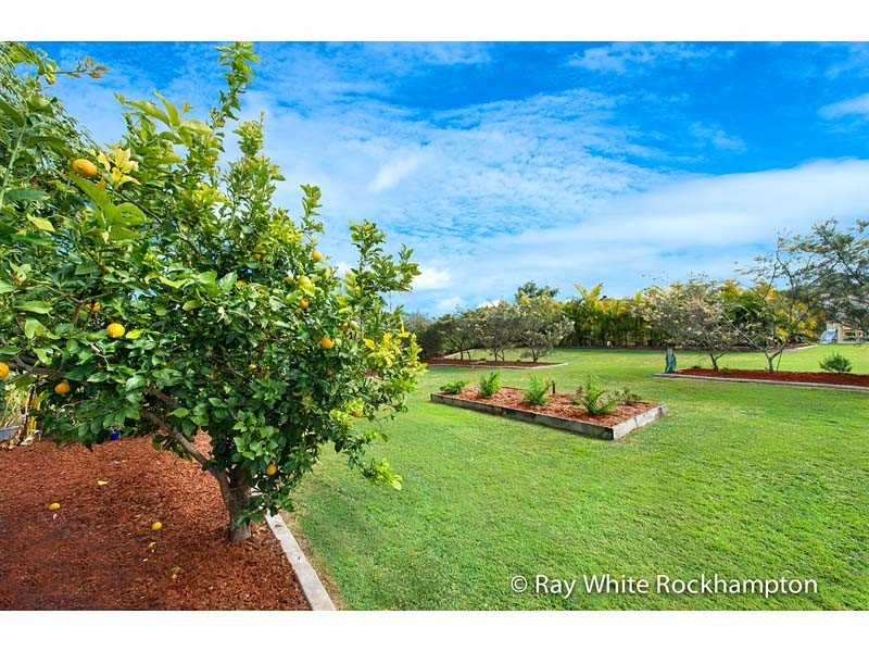 11 Goldfinch Drive, Parkhurst QLD 4702