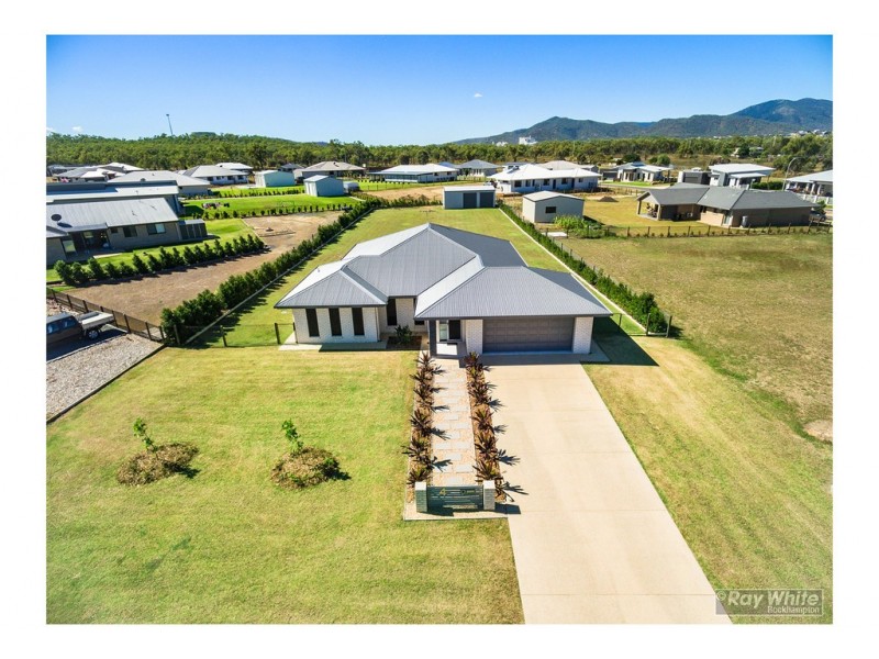 4 Peregrin Court, Parkhurst QLD 4702