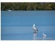 5 Ware Avenue, Causeway Lake QLD 4703