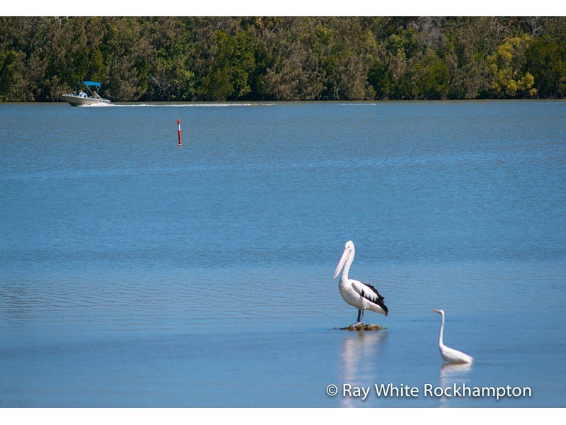 5 Ware Avenue, Causeway Lake QLD 4703