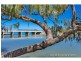 5 Ware Avenue, Causeway Lake QLD 4703