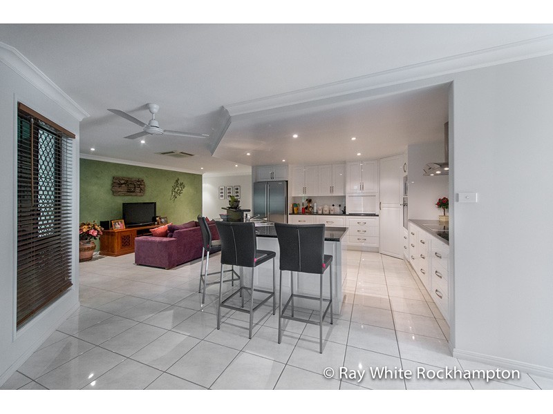 7 Treefern Terrace, Frenchville QLD 4701