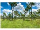 32 Colliver Road, Alton Downs QLD 4702
