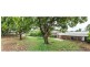 211 Harrison Street, Frenchville QLD 4701