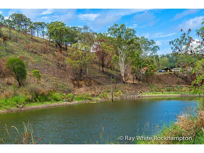 407 Coorooman Creek Road, Cawarral QLD 4702