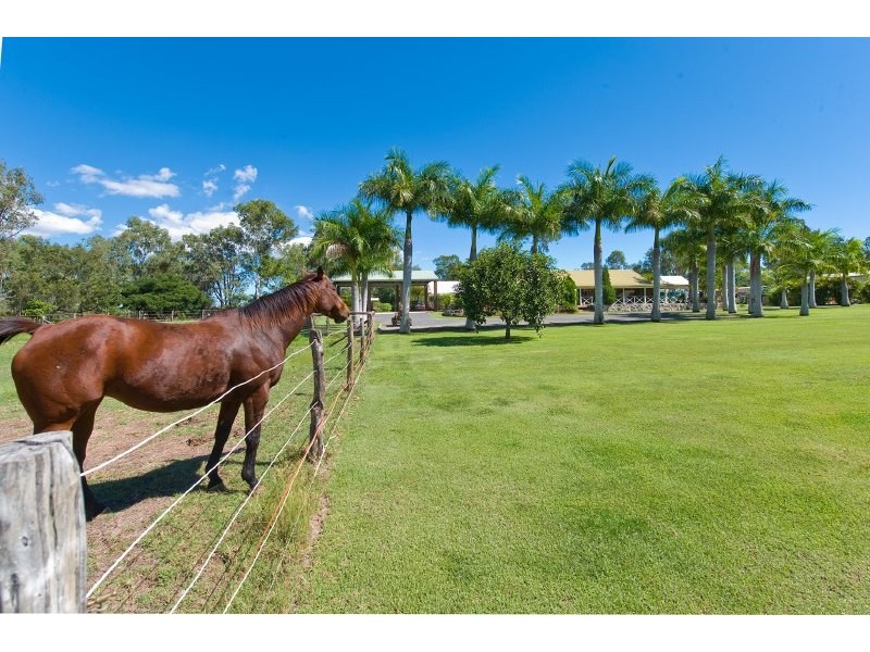 1073 Belmont Road, Glendale QLD 4711