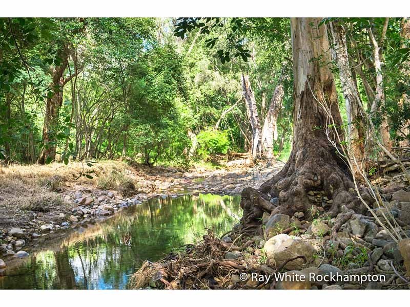 340 Diplock Street, Frenchville QLD 4701