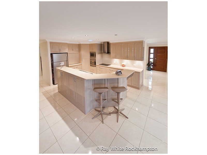 17 Treefern Terrace, Frenchville QLD 4701