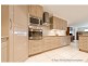 17 Treefern Terrace, Frenchville QLD 4701