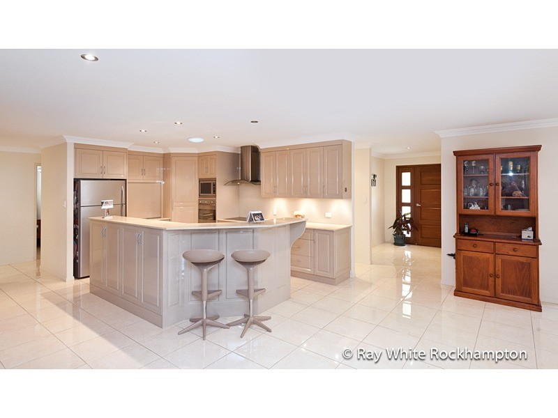 17 Treefern Terrace, Frenchville QLD 4701