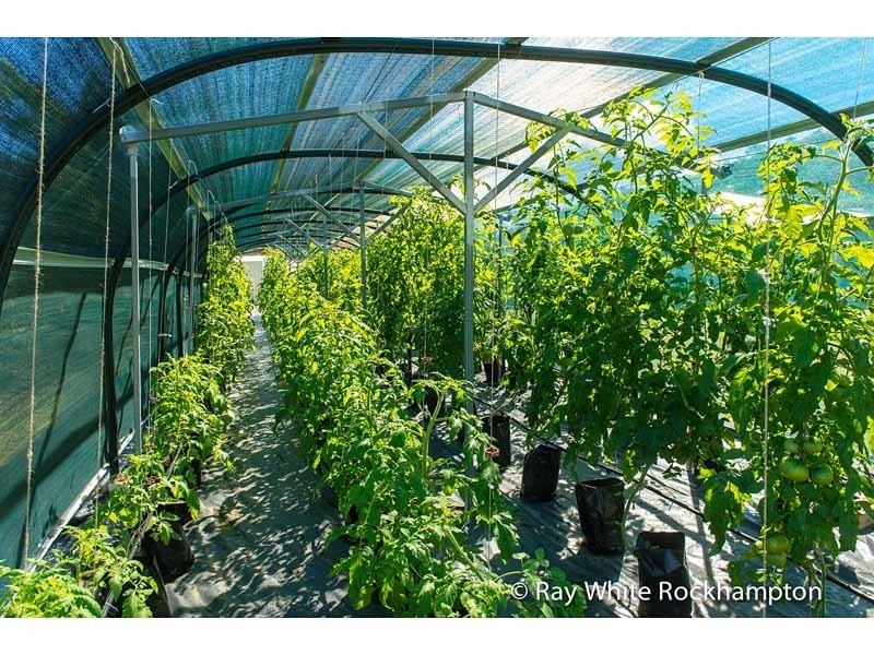 188 Barmoya Road, The Caves QLD 4702