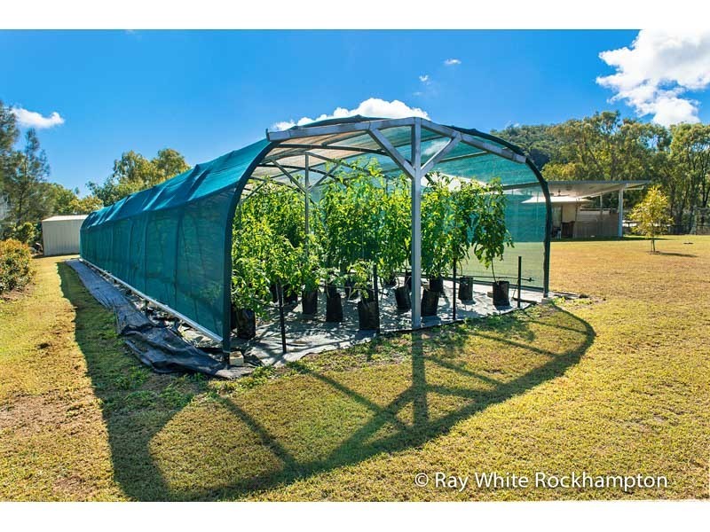 188 Barmoya Road, The Caves QLD 4702