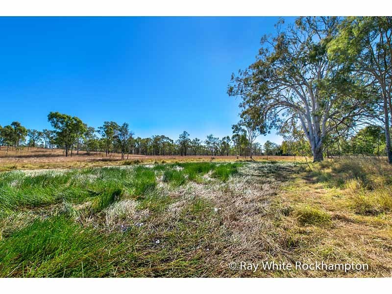 3100 Stanwell-Waroula Road, Alton Downs QLD 4702