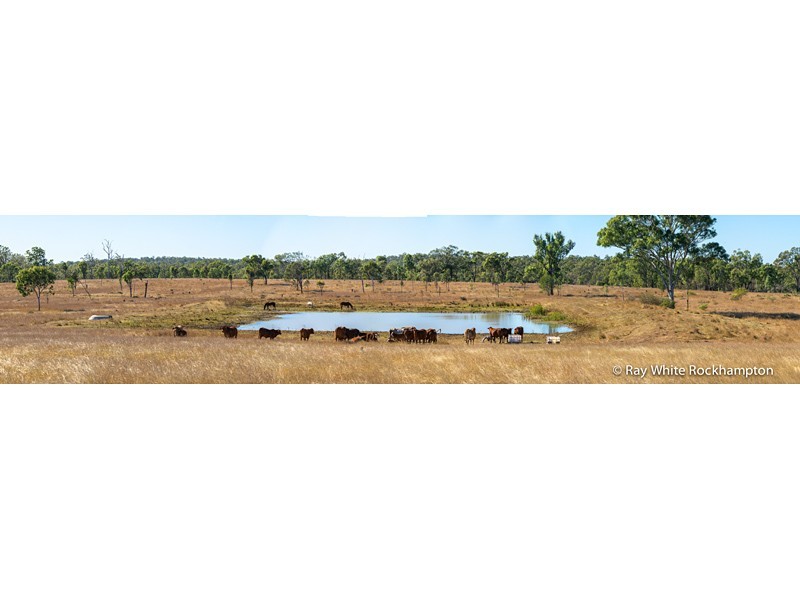 3100 Stanwell-Waroula Road, Alton Downs QLD 4702