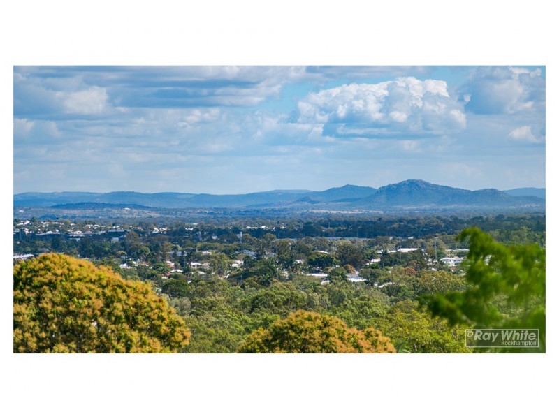 302 Everingham Avenue, Frenchville QLD 4701