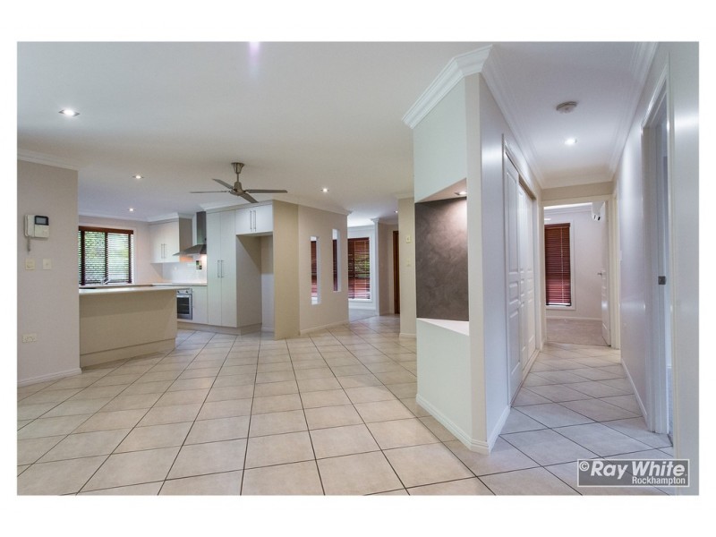 2 Treefern Terrace, Frenchville QLD 4701