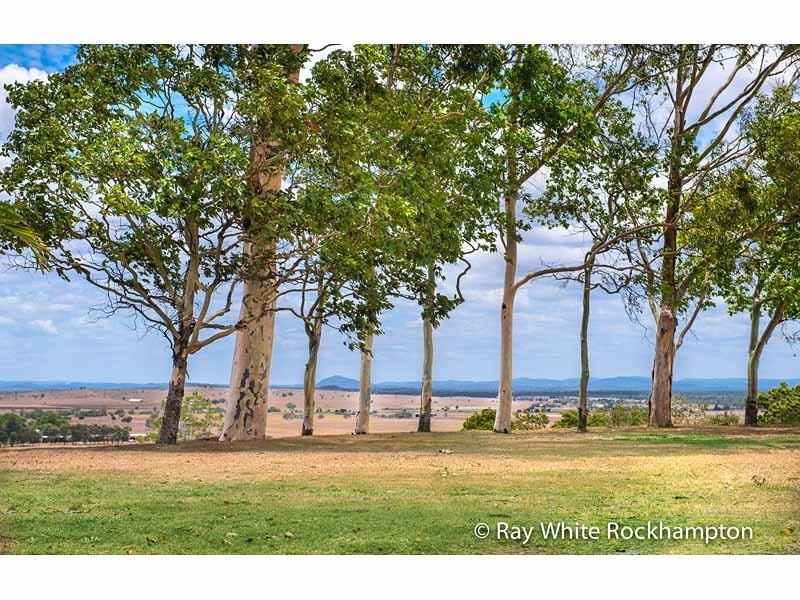 193 Auton and Johnsons Road, The Caves QLD 4702