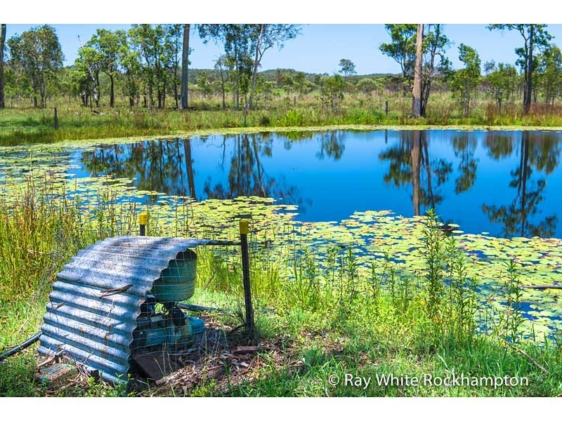 71 Hedlow Road, Cawarral QLD 4702